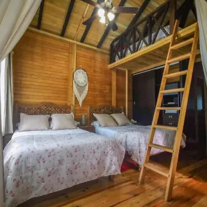alicat-villas.tulum-hotels.net/